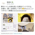 レス1番の画像サムネイル