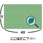 レス19番の画像サムネイル