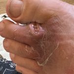 レス2番の画像サムネイル
