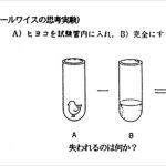 レス2番の画像サムネイル