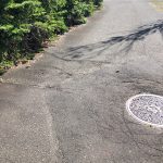 レス6番の画像サムネイル