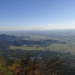 レス2番のサムネイル画像