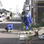 レス13番のサムネイル画像