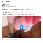レス1番のサムネイル画像