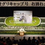 レス35番のサムネイル画像