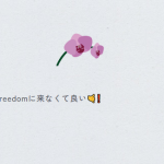 レス2番のサムネイル画像
