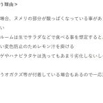 レス46番のサムネイル画像