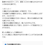 レス5番のサムネイル画像