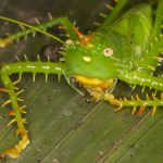 レス2番のサムネイル画像