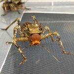 レス1番のサムネイル画像