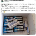 レス4番のサムネイル画像