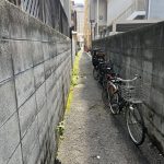 レス13番のサムネイル画像