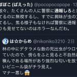 レス19番のサムネイル画像