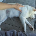 レス1番のサムネイル画像