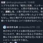 レス19番のサムネイル画像