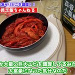 レス1番のサムネイル画像