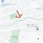 レス5番のサムネイル画像