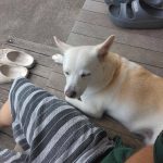 レス1番のサムネイル画像