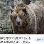 レス1番のサムネイル画像