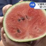 レス1番のサムネイル画像