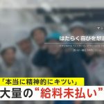 レス6番のサムネイル画像