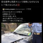 レス19番のサムネイル画像