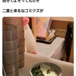 レス1番のサムネイル画像