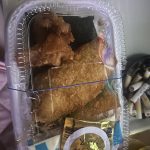 レス1番のサムネイル画像
