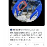 レス1番のサムネイル画像