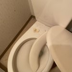 レス2番のサムネイル画像