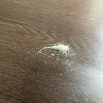 レス6番のサムネイル画像