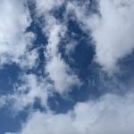 レス8番のサムネイル画像