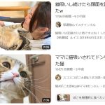 レス1番のサムネイル画像