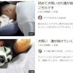 レス1番のサムネイル画像