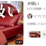 レス1番のサムネイル画像