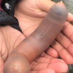 レス1番のサムネイル画像