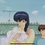 レス13番のサムネイル画像