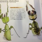 レス3番のサムネイル画像