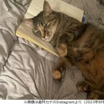 レス1番のサムネイル画像
