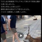 レス1番のサムネイル画像