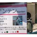 レス3番のサムネイル画像