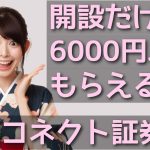 レス8番のサムネイル画像