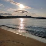 レス2番のサムネイル画像