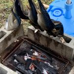 レス1番のサムネイル画像