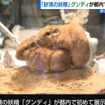 レス1番のサムネイル画像