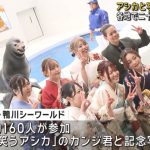 レス1番のサムネイル画像