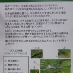 レス3番のサムネイル画像
