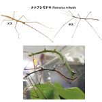 レス3番のサムネイル画像