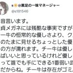 レス2番のサムネイル画像