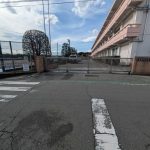 レス29番のサムネイル画像